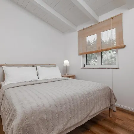 Apartment With A Parking Space - 22740 Rovinj